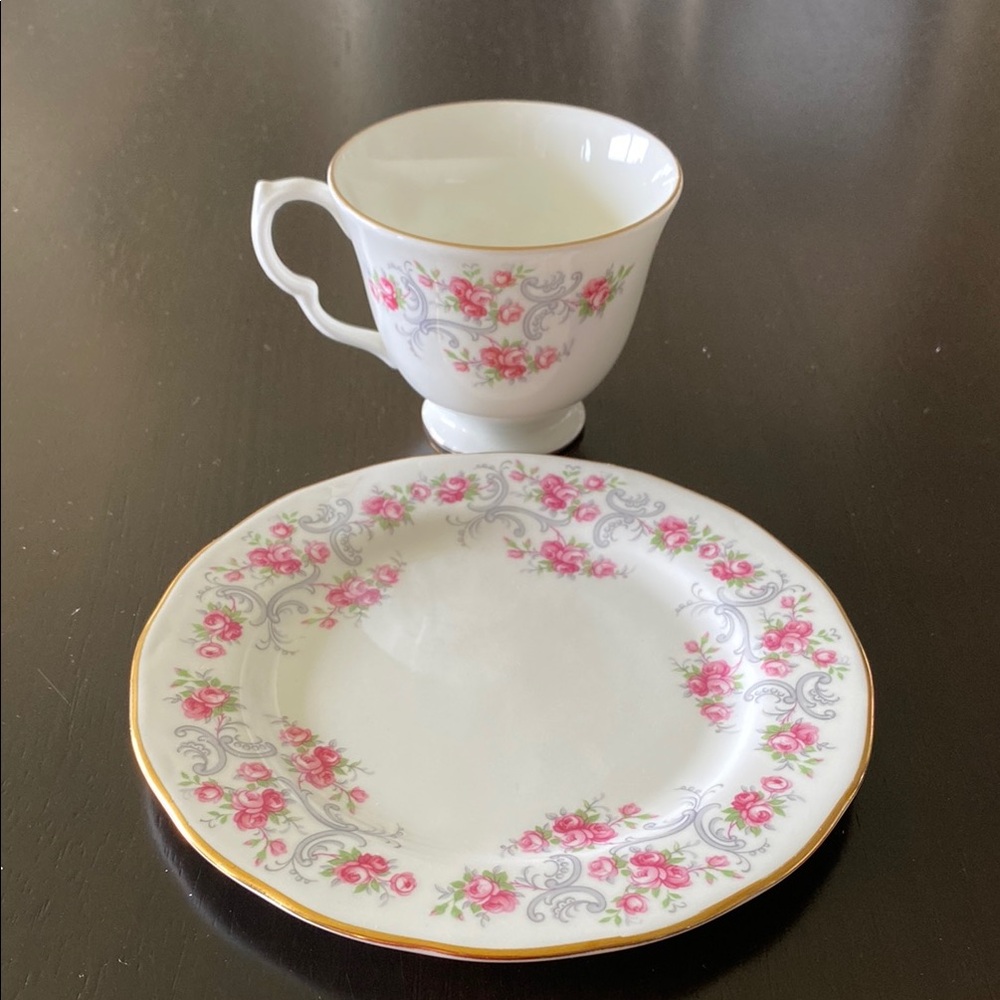 Porcelain MCM Vintage Royal Osborne Tea Cup and Plate Set!